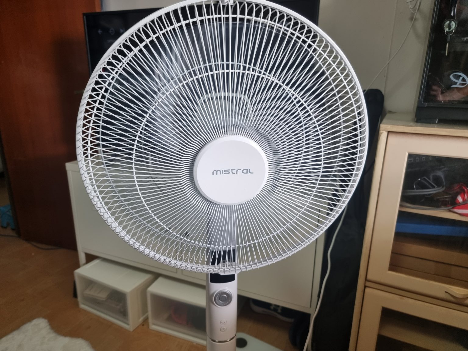 Choosing a DC Standing Fan in Singapore – Describee